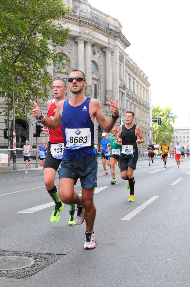 347167_205584785_XLarge