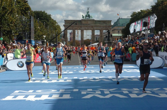 347167_206104863_XLarge