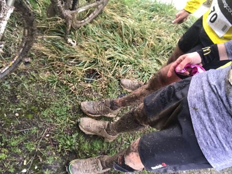 5dff3fd0-c50e-406a-94a0-0a2995b19a02